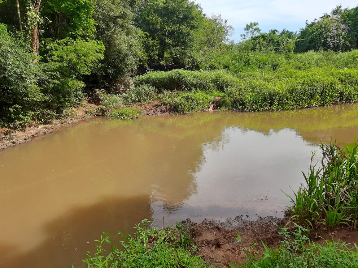 Río Pirapó im hinteren Bereich des Grundstücks